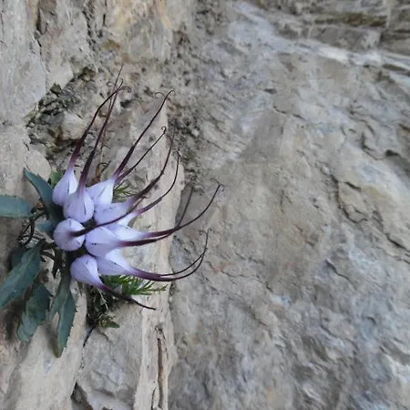 Rifugio F.lli De Gasperi *