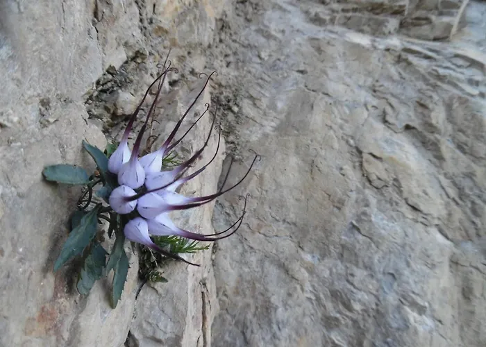 Rifugio F.lli De Gasperi *