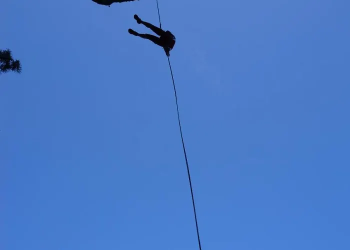 Πανδοχείο Rifugio F.lli De Gasperi Casera Malins